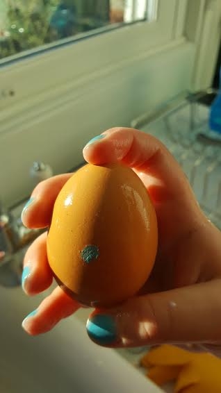 egg 4
