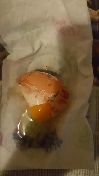 egg 8