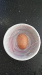 egg 1