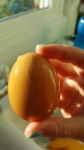 egg 3