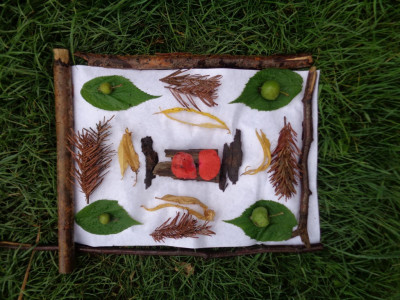 Y6-Forest-5
