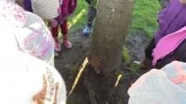 EYFS Forest Schools 11