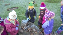 EYFS Forest Schools 12