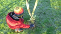 EYFS Forest Schools 13
