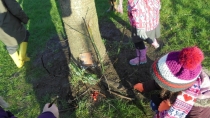 EYFS Forest Schools 17