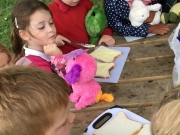 Teddy Bear's Picnic (5)