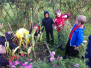 Visiting our Allotment