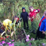 Year 3-4 Allotment_1