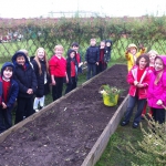 Year 3-4 Allotment_4