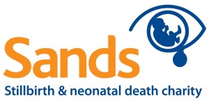 sands_logo_